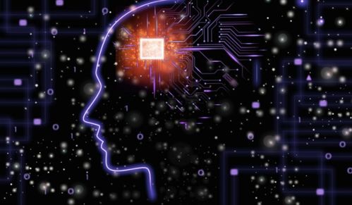 人工智能入门 基础软件开发知识指南